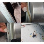foto video gandaci si mizerie descoperite la the view de horia constantinescu seful cpjc constanta s au dat amenzi de aproape 9 500 de euro iar localul a fost temporar inchis 680f15226872d