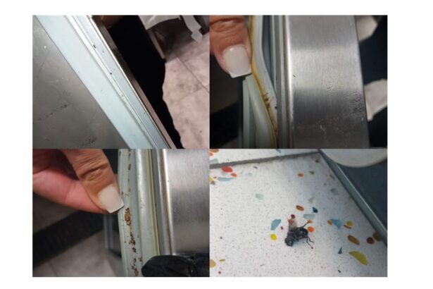 foto video gandaci si mizerie descoperite la the view de horia constantinescu seful cpjc constanta s au dat amenzi de aproape 9 500 de euro iar localul a fost temporar inchis 680f15226872d