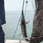 foto video pescador cu 2 tone de peste braconat prins langa mangalia 6809f2d1099d9