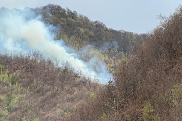 foto video un elicopter black hawk intervine pentru stingerea unui incendiu de padure izbucnit intr o zona greu accesibila 680238058d856