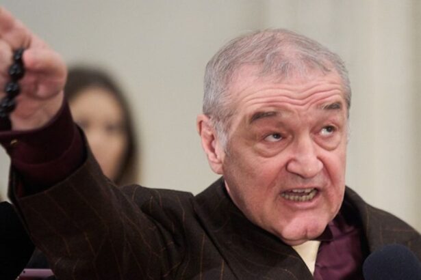 gigi becali atac subtil la adresa fostului sef de galerie cu aspiratii la presedintia tarii 67fbaf7186192
