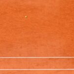 greva japoneza in tenis jucatorii si jucatoarele din top 20 vor mai multi bani din premii 67f0bd68ed263