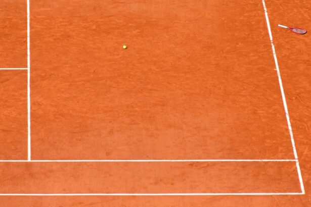 greva japoneza in tenis jucatorii si jucatoarele din top 20 vor mai multi bani din premii 67f0bd68ed263