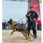 gruparea mobila isi deschide portile pentru copii cu ocazia implinirii a 175 de ani de la infiintarea jandarmeriei romane 67ec1807e98a5