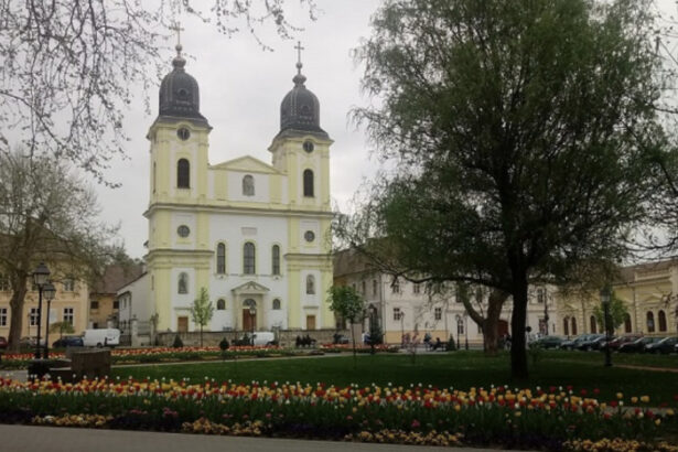 in arhieparhia de alba iulia si fagaras clopotele tuturor bisericilor catolice vor fi trase zilnic pana la funeraliile papei francisc 680735486b3de