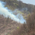 incendiul de padure din arges a fost stins dupa cinci zile in care pompierii s au luptat cu flacarile 6807f31fe87ca