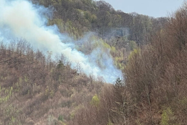 incendiul de padure din arges a fost stins dupa cinci zile in care pompierii s au luptat cu flacarile 6807f31fe87ca