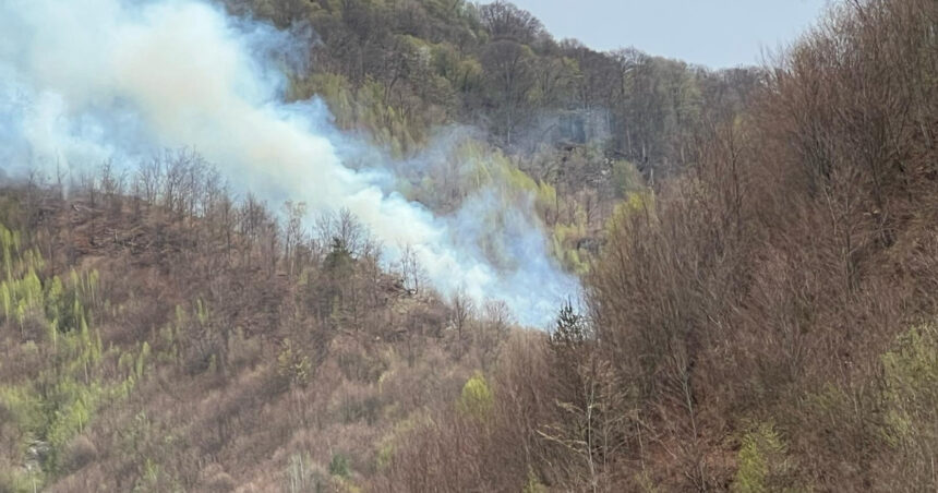 incendiul de padure din arges a fost stins dupa cinci zile in care pompierii s au luptat cu flacarile 6807f31fe87ca
