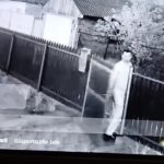 individul din judetul tulcea care a omorat cateii vecinilor a fost arestat la domiciliu pentru 30 de zile 680a6c079f5c4