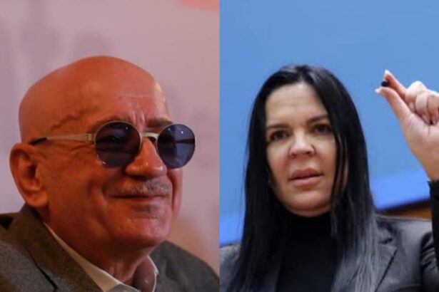 ion dumitrache mirela