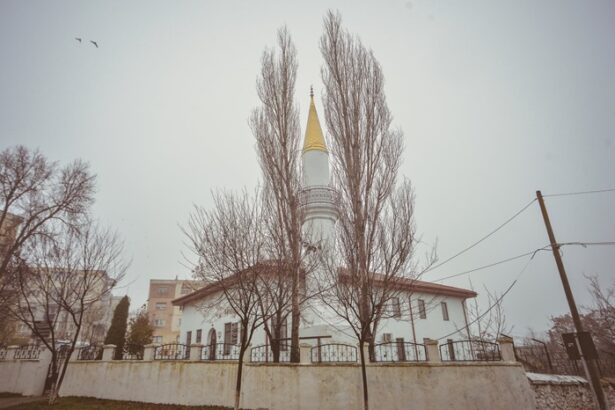 judecatorii explica de ce geamia sultanului mahmut din harsova a fost castigata in instanta de muftiatul cultului musulman 67ff240b70ae2