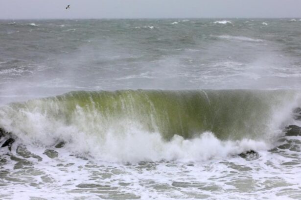 judetul constanta sub cod portocaliu de vant timp de doua ore a fost emis un mesaj ro alert 67f7d6fa24d8c