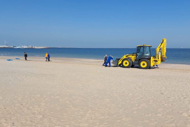 licitatie masiva pentru plajele marii negre 187 de oferte depuse pentru inchirierea a 77 de sectoare de plaja majoritatea in eforie 6812418b3613c