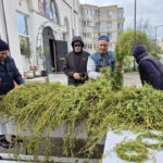 lucruri mai putin cunoscute despre salcie simbolul floriilor ce trebuie sa facem cu ramurile uscate 67fb7550b506a
