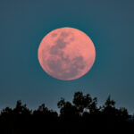 luna roz pe 13 aprilie cand poate fi observat fenomentul astronomic in romania si ce semnificatie are luna plina 67fac0c84c8b3