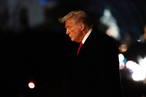 lupta pentru pamanturi rare ce planuieste donald trump pentru a reduce dependenta fata de china financial times 67fa7adee5459