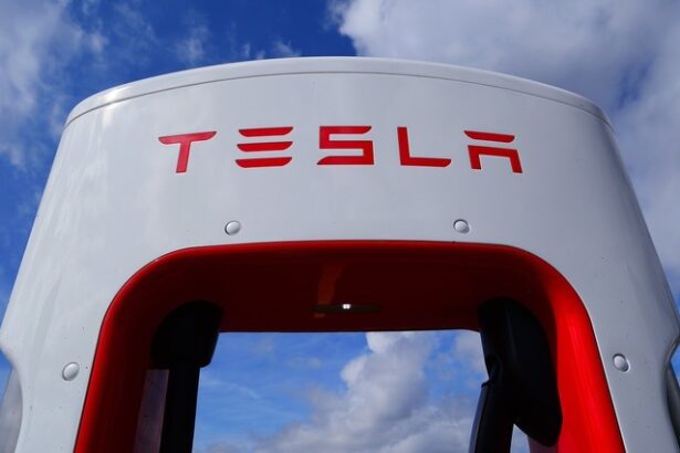 lupta unei romance avertizor de integritate la tesla cu elon musk a castigat o runda cruciala dupa un deceniu 6800bb54285b7