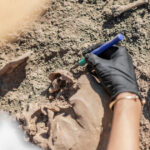 misterele cimitirului medieval descoperit langa aeroportul cardiff zecile de schelete gasite in pozitii neobisnuite sunt de femei 6808c5f217bc2