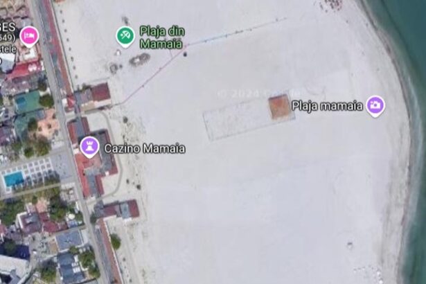 moment decisiv in procesul pe terenul de la cazino sud din mamaia pentru care compania mehmetoglu cere anularea vanzarii 67ff1ffec26f9