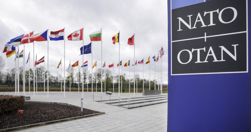 oficialii nato isi ajusteaza limbajul legat de clima gen si diversitate pentru a face pe plac administratiei trump politico 6803210b4da7f