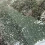 Particule de praf saharian vor ajunge în România până vineri 2 particule de praf saharian vor traversa romania pana vineri 67fcc357c5d92