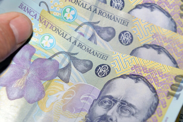 persoanele fizice pot investi in titluri de stat fidelis denominate in lei si in euro incepand de vineri ce dobanzi sunt propuse 67ebb419e7c09