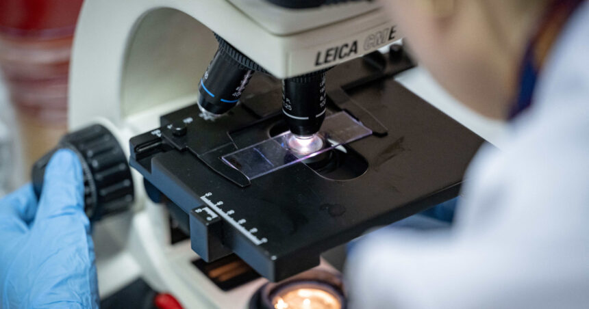 planul europei de a ademeni cercetatorii de top americani alungati de politica lui trump 67f0fa58653b9