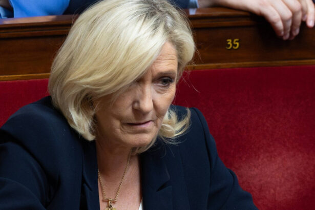 popularitatea liderei extremei drepte din franta a explodat dupa condamnare cati francezi o doresc pe le pen in cursa pentru elysee 67efb999681c1