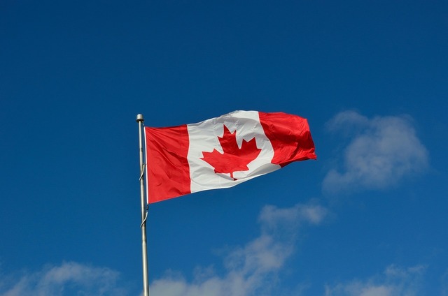 premierul canadian promite sa riposteze la taxele vamale ale lui trump 67ee269807548