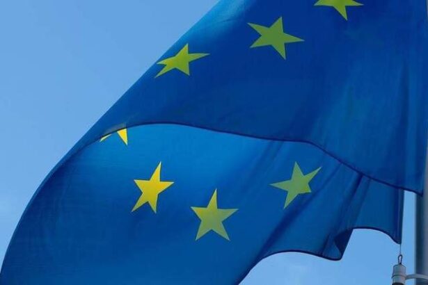 romania alaturi de ungaria italia si grecia se opune escaladarii razboiului comercial dintre ue si sua potrivit financial times 67f39ddd2114a
