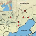 sase specii de paianjeni ciudati au fost gasite in muntii din china 67f6881456390
