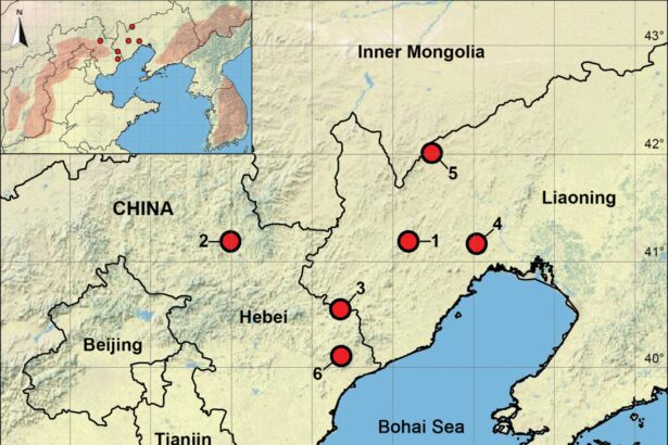 sase specii de paianjeni ciudati au fost gasite in muntii din china 67f6881456390