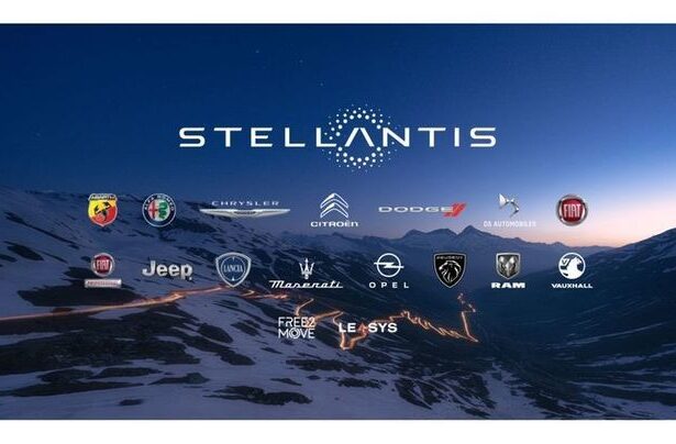 stellantis isi mentine declinul vanzarilor si in 2025 67f934c81d039