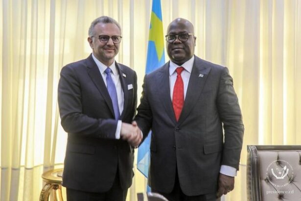 sua se ofera sa investeasca miliarde de dolari in mineritul din congo 67ef90c222c87