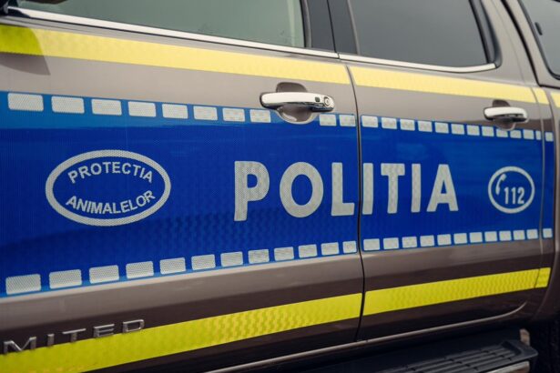 surpriza in cazul barbatului din tulcea acuzat ca ar fi omorat cainii vecinei ce se intampla cu dosarul care a facut inconjurul tarii 680c4ef94b745