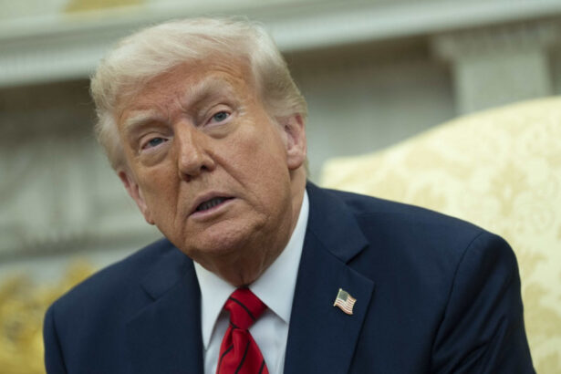 tarifele ilegale impuse de trump au dezlantuit haosul in sua acuza 12 state americane cum incearca acestea sa blocheze noile taxe 6809f4759850b