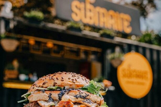 tranzactie surpriza submarine burger mandria croatiei semneaza prima achizitie in romania 67ed09ec91707