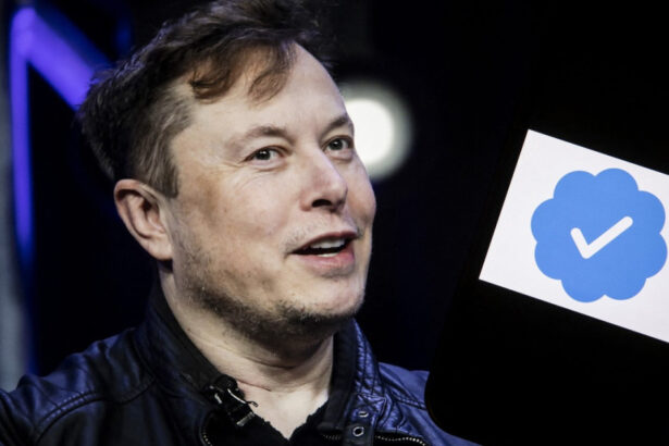 ue ancheteaza platforma x a lui elon musk asupra utilizarii datelor personale pentru a si antrena modelele de ia 67fa09b703547