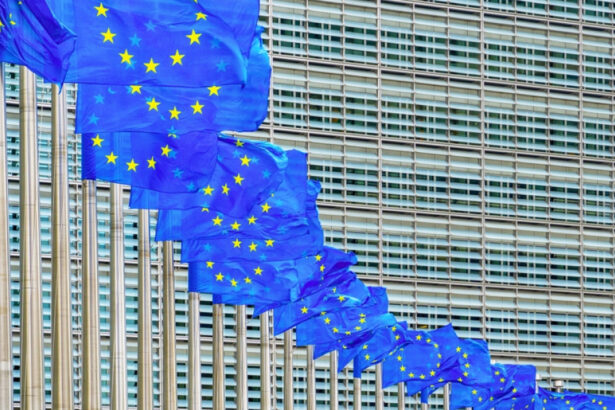 ue isi suspenda trei luni contramasurile impotriva taxelor vamale nejustificate anuntate de sua anunt de la bruxelles 67fd4763a9ebd