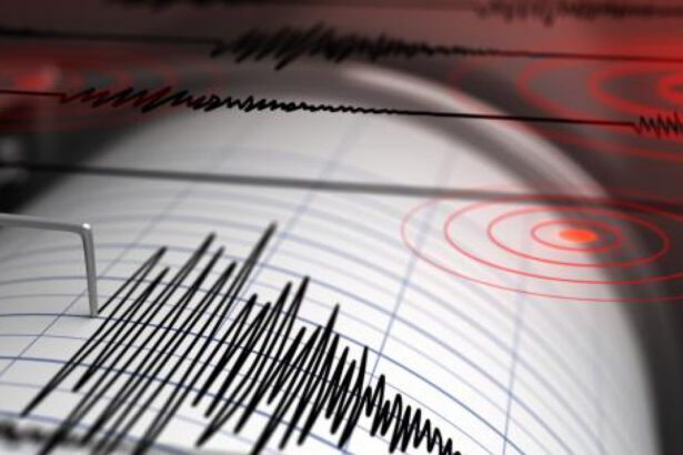 un cutremur cu magnitudinea 6 s a produs in largul japoniei nu a fost emisa alerta de tsunami 67ed67ff086e8