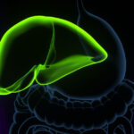 un medicament ar putea elimina necesitatea transplantului hepatic in afectiuni ale cailor biliare 680d552678e11