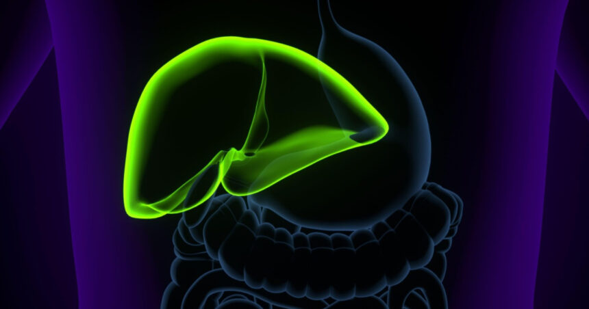 un medicament ar putea elimina necesitatea transplantului hepatic in afectiuni ale cailor biliare 680d552678e11