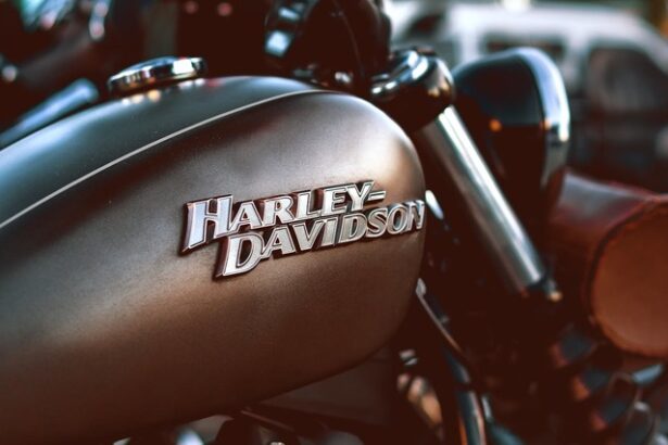 un membru al consiliului de administratie harley davidson demisioneaza invocand ingrijorari grave privind compania scadere de 11 a actiunilor 67f8e784621ec