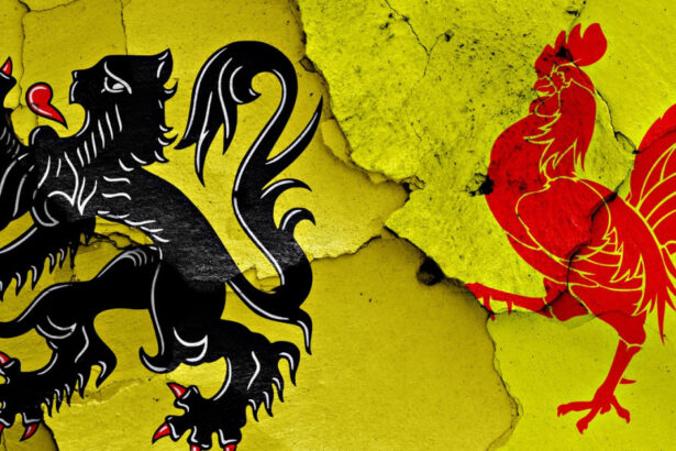 unul dintre liderii parlamentului din olanda i a propus ambasadorului frantei sa imparta belgia ce este planul olandei mari 680933a5d2ddc