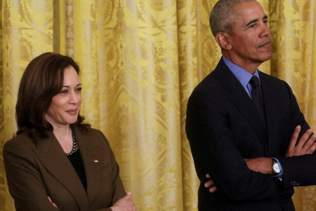 v am avertizat barack obama si kamala harris critica masurile luate de donald trump dupa revenirea la casa alba 67f0437cc3d6c