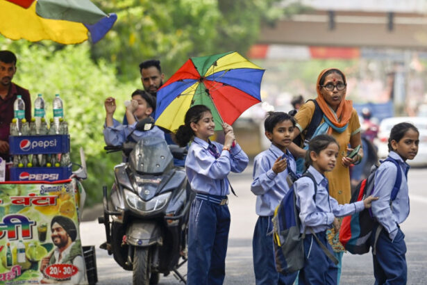 valul de caldura prelungit din india si pakistan pune la incercare limitele de supravietuire temperaturi de pana la 49c 67ff2c8c60293