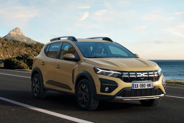 vanzarile dacia au franat in franta dar mai lent decat piata si principalii rivali 67ef630653da9