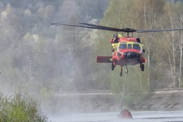 video a treia zi in care elicopterul black hawk intervine ca sa stinga incendiul de padure din arges din ce cauza a luat foc vegetatia 6804dc0c3bbf0
