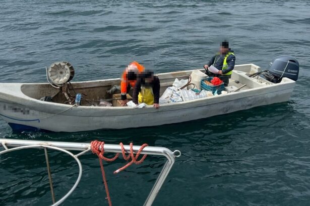 video ambarcatiune cu peste 350 de kilograme de peste capturat ilegal la bord depistata de politistii de frontiera constanteni 67f642a659062