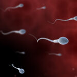 video concurs inedit organizat de adolescenti din los angeles care vor sa atraga atentia asupra problemelor de fertilitate masculina 680f020f67e85